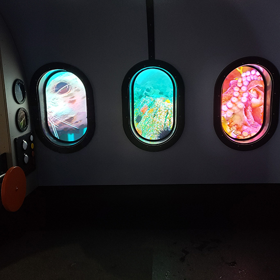 windows to octopus tank